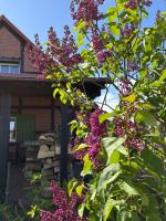 Kaszubska Oaza Garczyn - B&B Garczyn