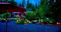 The White Rabbit Inn - B&B Courtenay