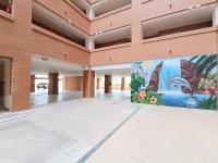 Ayf despertares frente al mar - B&B Oropesa del Mar