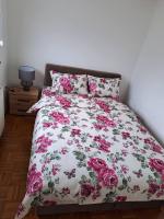 Apartman MAGNIFICO - B&B Donje Mladice
