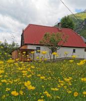 Idina domačija - Ferienwohnung Trenta