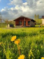 Family House Volosianka - B&B Volosyanka