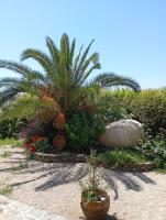 Casa La Vega - Bed and Breakfast Torrox Costa