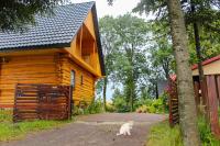Dom na wyłączność - Ranczo Nowosiółki - Kresowe Klimaty - Chambres d'hôtes Nowosiółki