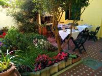 Appartamento in Villa alle Piagge - B&B Pisa