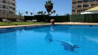 Los Molinos Bright Apartment - B&B