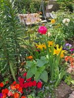 Casa Vacanze Kristina - B&B Brissago-Valtravaglia