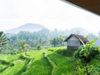 Uma Iseh Bali - B&B