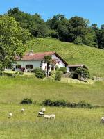 Maison Ameztoia XVe siècle chambres d'hôtes Navarraises - B&B Saint-Étienne-de-Baïgorry