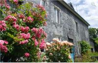 Le Neufbosc - Bed and Breakfast