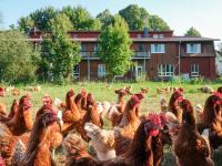 Biohof Medewege - B&B Schwerin