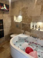 Jaccuzi F2 proche du Canal - B&B Livry-Gargan