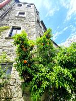 Castellana House - Bed and Breakfast Ascoli Piceno