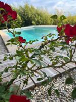 Le chant des cigales - B&B Villemoustaussou