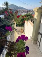 Apartments Dubrovnik Palm Tree Paradise - B&B