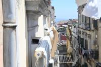 la casa di fralu - Bed and Breakfast Napels