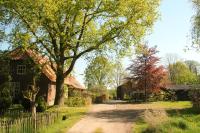 Huisje en B&B Green Cottage - Bed and Breakfast Groesbeek