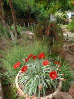 Yükser Pansiyon - B&B Side