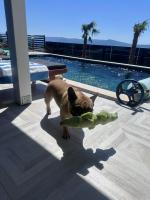 Villa Belissima Vista Mare - B&B Selce