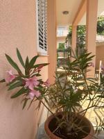 Apartments Zlatka - Ferienwohnung Trogir