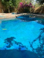 Siwa Gardenia Cottage اكواخ سيوة جاردينيا - Chambres d’hôtes Siwa