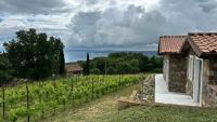NEW! Apartment immersed in a vineyard - B&B Gradoli