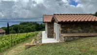 NEW! Apartment immersed in a vineyard - Ferienwohnung Gradoli