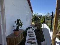 L'Eden du Piton des Roches - B&B