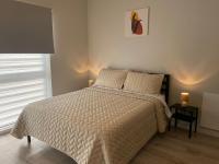 Appartamento Monolocale con 1 Letto Matrimoniale