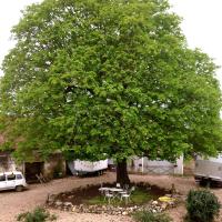 Au Coeur de la Cour - B&B Saint-Georges-sur-Cher