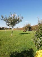 Tanglewood Cottage - Lancombes House - B&B Powerstock