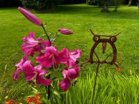 La Maison de la Hulotte - Bed and Breakfast Golleville