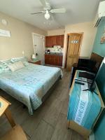 Estudio con 1 cama grande