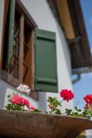 Nózsi-hegyi vendégház - B&B Patca