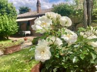 Podere Il Conventino, Casette in campagna con piscina - Ferienwohnung Nodol