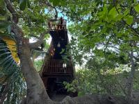 OccA Pipa - Cabana PicaPau - B&B Pipa