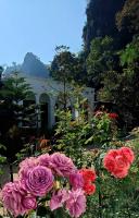 วีรพัชนารา - B&B Ban Musoe