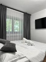 Appartamento Deluxe con 2 Camere da Letto e Balcone