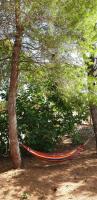 La Casina di Lulù - B&B Ostuni