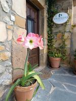 El Coteru - Bed and Breakfast Caviedes