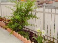 Villa il Giglio - B&B Montallegro