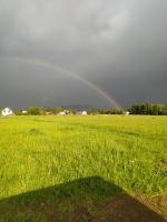 Zacisze Na Polach - B&B Leśna