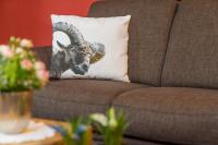 Appartamento con 2 Camere da Letto