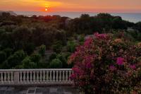 Rodi Garganico - Appartamento - Bed and Breakfast San Menaio