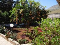 B&B Poliglotta - B&B Castelluzzo