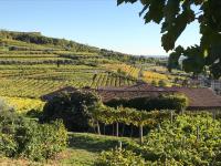 Corte Lavarini - B&B Fumane