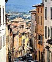 Residenza Le Ortensie - B&B Todi