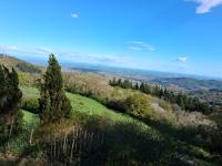 Chalet Panoramique - B&B