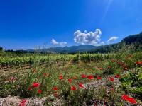 Casetta di Davide - Elba Affitti - B&B Portoferraio