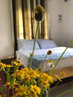 Rex pax homestay - B&B